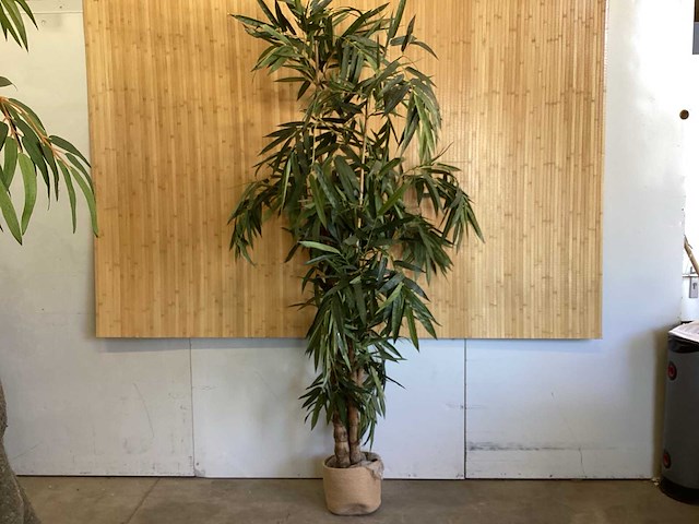 Kamerplant kunstplant - afbeelding 1 van  5
