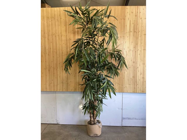Kamerplant kunstplant - afbeelding 3 van  5
