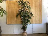 Kamerplant kunstplant - afbeelding 5 van  5