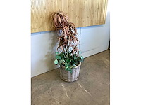 Kamerplant kunstplant - afbeelding 3 van  3