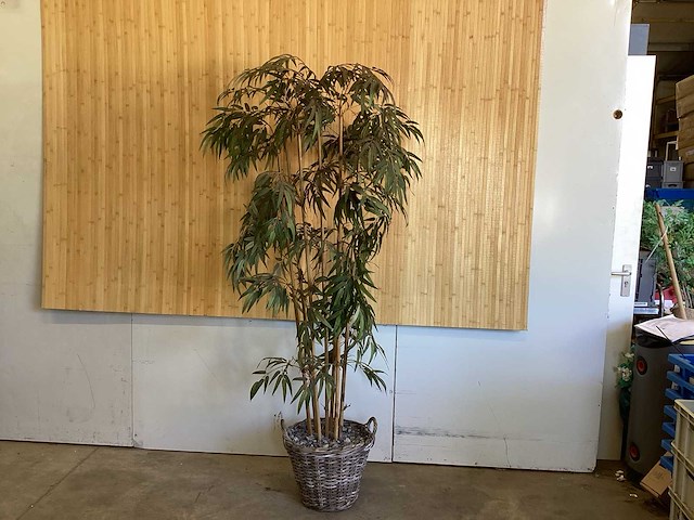 Kamerplant kunstplant - afbeelding 1 van  3