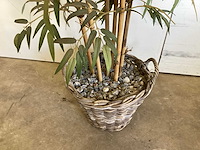 Kamerplant kunstplant - afbeelding 3 van  3