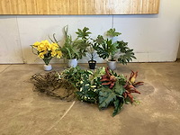 Kamerplant kunstplant