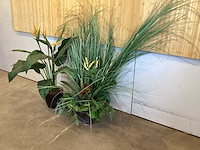 Kamerplant kunstplanten (2x) - afbeelding 2 van  3