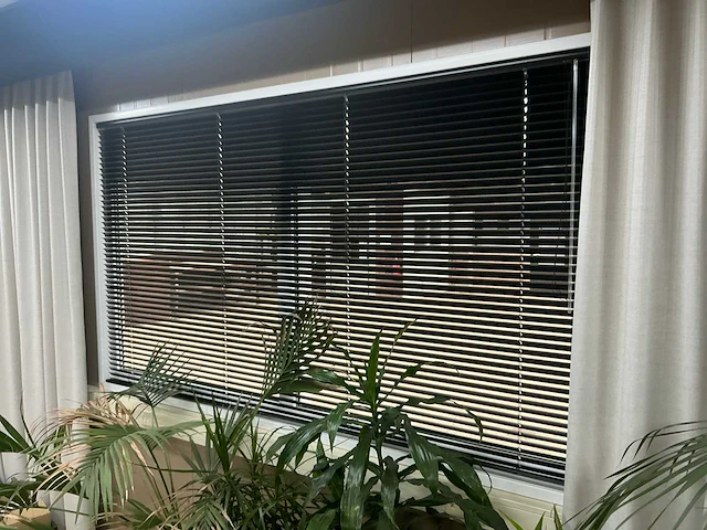Kamerplanten en raamdecoratie - afbeelding 5 van  5