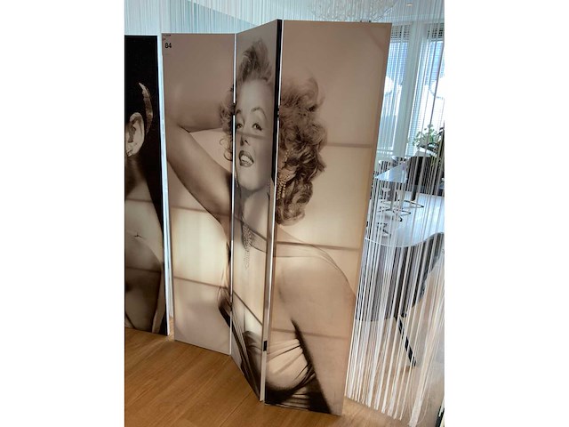 Kamerscherm (2x) - afbeelding 2 van  4