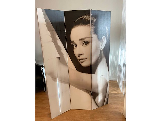 Kamerscherm (2x) - afbeelding 3 van  4