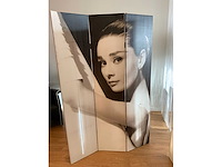 Kamerscherm (2x) - afbeelding 3 van  4