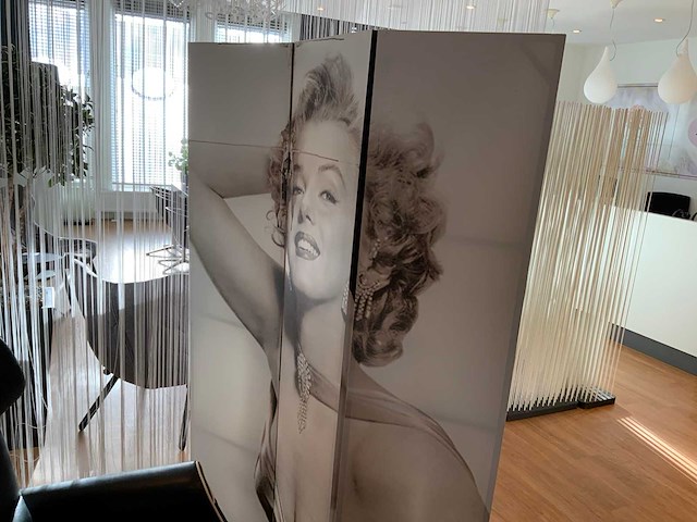 Kamerscherm (2x) - afbeelding 4 van  4