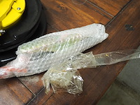 Kanon loading equipment b.v. - afbeelding 3 van  4