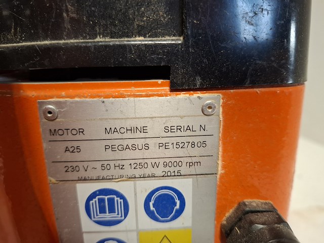 Kantenschuurmachine - 300mm - 230v, künzle & tasin, pegasus, 2016 - afbeelding 6 van  8