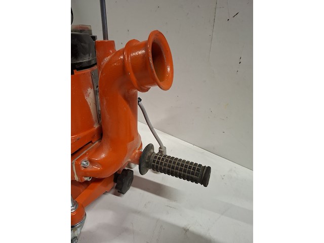 Kantenschuurmachine - 300mm - 230v künzle & tasin, pegasus, bouwjaar 2012 - afbeelding 3 van  7