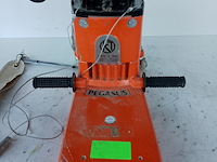 Kantenschuurmachine - 300mm - 230v künzle & tasin, pegasus, bouwjaar 2015 - afbeelding 5 van  9
