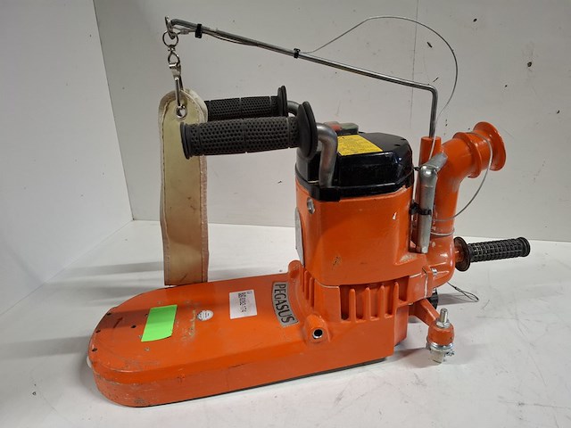 Kantenschuurmachine - 300mm - 230v künzle & tasin, pegasus, bouwjaar 2020 - afbeelding 7 van  8