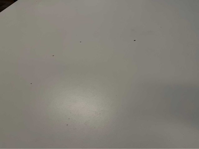 Kantine-inventaris - afbeelding 9 van  9