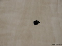 Kantinetafel - 140x90x74cm - afbeelding 3 van  4