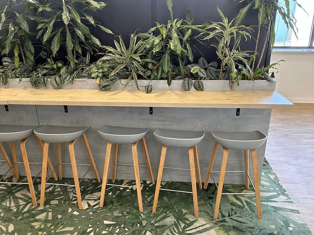 Kantoorbar met beplanting - afbeelding 2 van  8