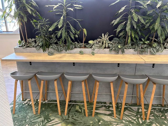 Kantoorbar met beplanting - afbeelding 3 van  8