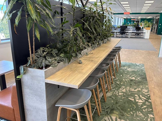 Kantoorbar met beplanting - afbeelding 4 van  8