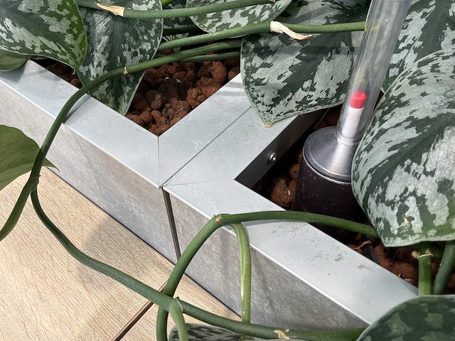 Kantoorbar met beplanting - afbeelding 7 van  8