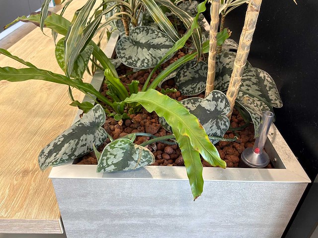 Kantoorbar met beplanting - afbeelding 8 van  8