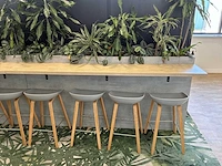 Kantoorbar met beplanting - afbeelding 2 van  8