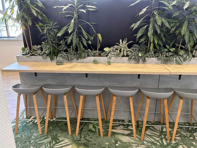 Kantoorbar met beplanting - afbeelding 3 van  8