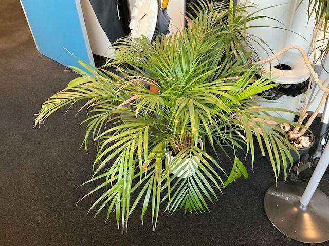 Kantoorinventaris - afbeelding 4 van  8