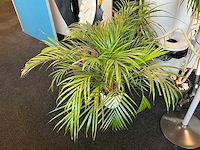 Kantoorinventaris - afbeelding 4 van  8