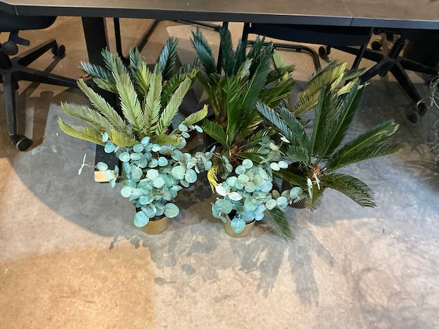 Kantoorinventaris - afbeelding 5 van  7