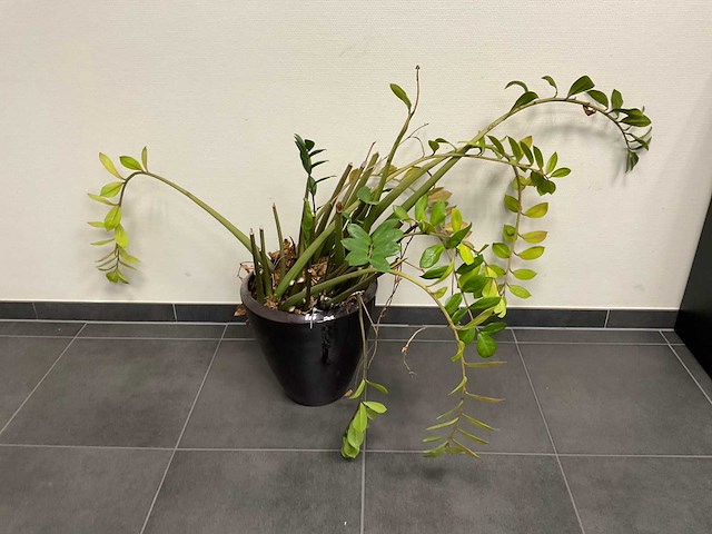 Kantoormeubilair uit ruimte - afbeelding 10 van  10