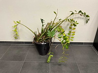 Kantoormeubilair uit ruimte - afbeelding 10 van  10