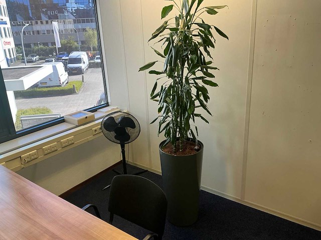 Kantoormeubilair - afbeelding 4 van  8