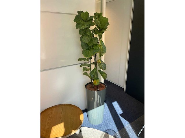 Kantoormeubilair - afbeelding 7 van  9