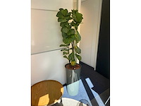 Kantoormeubilair - afbeelding 7 van  9