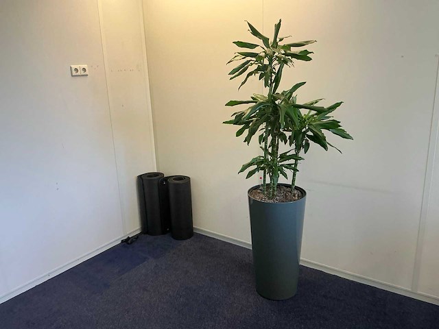 Kantoormeubilair - afbeelding 3 van  5