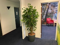 Kantoormeubilair - afbeelding 7 van  9