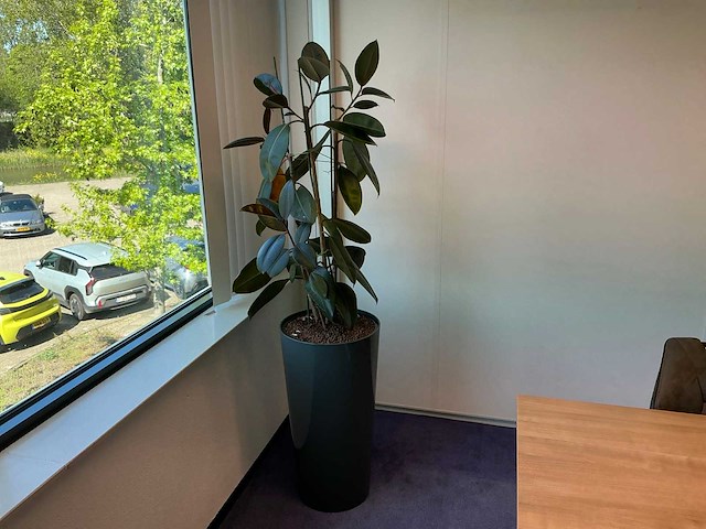 Kantoormeubilair - afbeelding 6 van  7