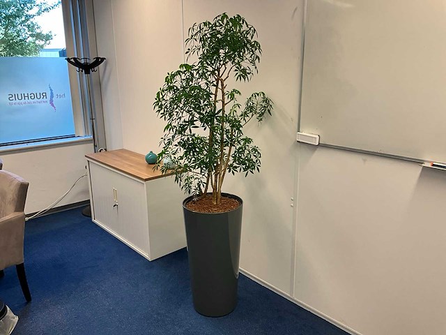 Kantoormeubilair - afbeelding 7 van  16