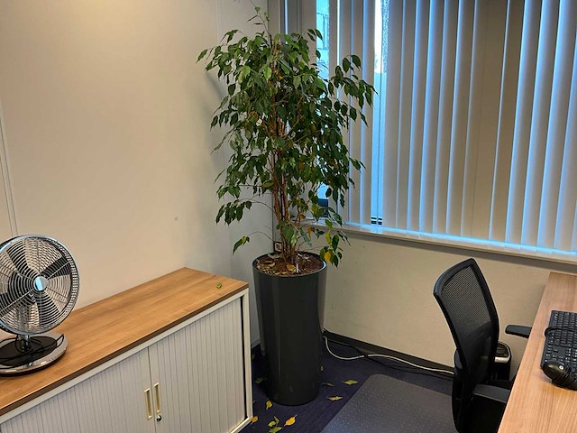 Kantoormeubilair - afbeelding 9 van  12