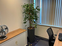 Kantoormeubilair - afbeelding 9 van  12