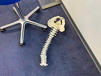 Kantoormeubilair - afbeelding 6 van  9