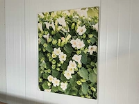 Kantoormeubilair - afbeelding 2 van  8