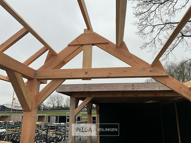 Kapschuur douglas 1260x360x325cm bxdxh in cm - afbeelding 11 van  14