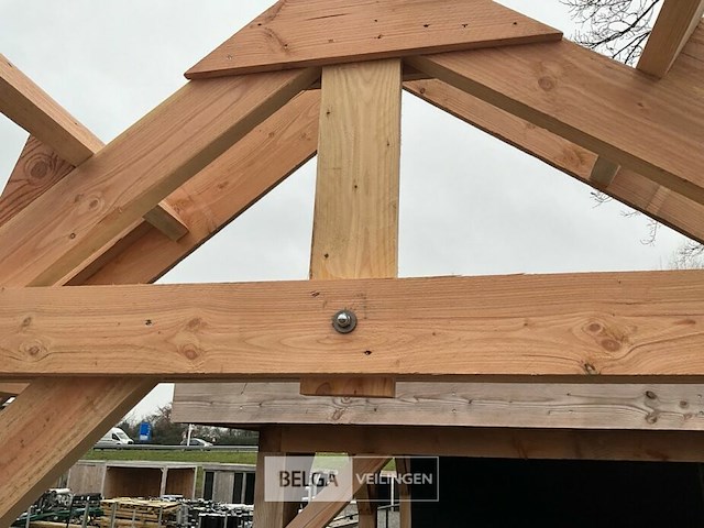 Kapschuur douglas 1260x360x325cm bxdxh in cm - afbeelding 12 van  14