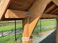 Kapschuur douglas 1550x460x325cm bxdxh in cm - afbeelding 3 van  17