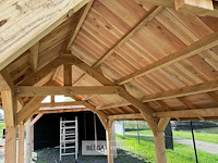 Kapschuur douglas 1550x460x325cm bxdxh in cm - afbeelding 5 van  17