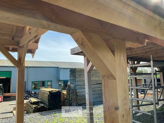 Kapschuur douglas 1550x460x325cm bxdxh in cm - afbeelding 7 van  17