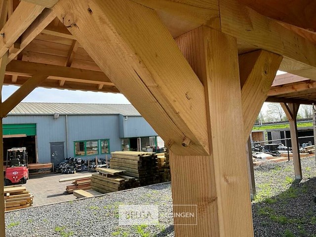 Kapschuur douglas 1550x460x325cm bxdxh in cm - afbeelding 8 van  17