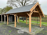 Kapschuur douglas 1550x460x325cm bxdxh in cm - afbeelding 10 van  17